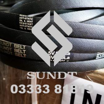 Dây curoa 5V900