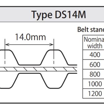Dây curoa DS14M